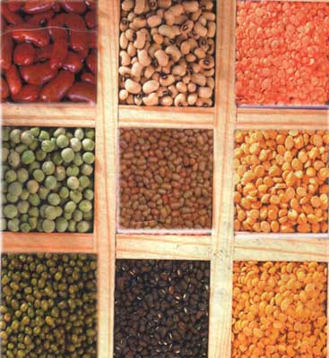 Pulses